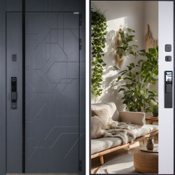 Входная дверь АСД Форест с зеркалом биометрический замок Smart Lock Y12 белый матовый