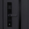 Входная дверь АСД Solana с зеркалом биометрический замок Smart lock R06 белый матовый