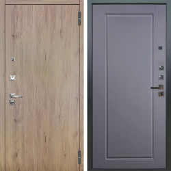 Входная дверь Аргус ЛЮКС 3К ПРО Элегант Рустик соломенный + Тревор Силк маус