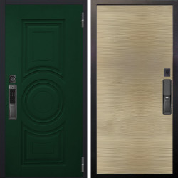 Входная дверь Аргус SMART Бенадир ral 6005 + Элегант Дорс светлый горизонт