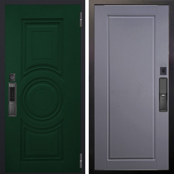 Входная дверь Аргус SMART Бенадир ral 6005 + Тревор Силк маус