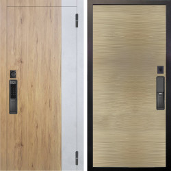 Входная дверь Аргус SMART Эксперт Рустик соломенный вставка бетон урбан милк + Элегант Дорс светлый горизонт