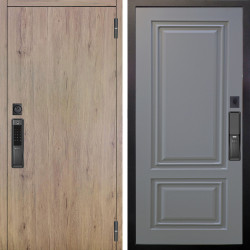 Входная дверь Аргус SMART Элегант Рустик соломенный + Элион Силк маус