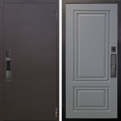 Входная дверь Аргус SMART Элегант Венге горизонт + Элион Силк маус