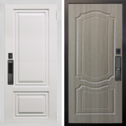 Входная дверь Аргус SMART элион вмр белый + Мишель Ларче светлый