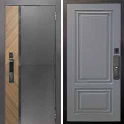Входная дверь Аргус SMART Фуриоса + Элион Силк маус