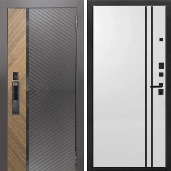 Входная дверь Аргус SMART Фуриоса + нора 4