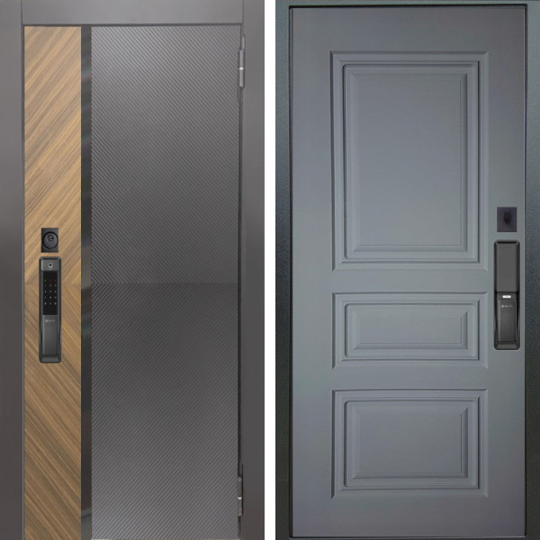 Входная дверь Аргус SMART Фуриоса + Скиф Силк маус
