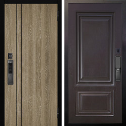 Входная дверь Аргус SMART гейджи орех мраморный + Элион Горький шоколад