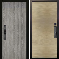 Входная дверь Аргус SMART гейджи + Элегант Дорс светлый горизонт