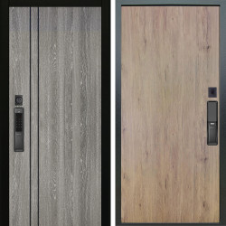 Входная дверь Аргус SMART гейджи + Элегант Рустик соломенный