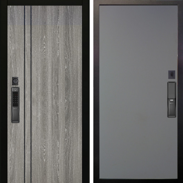 Входная дверь Аргус SMART гейджи + Элегант Силк маус