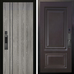 Входная дверь Аргус SMART гейджи + Элион Горький шоколад