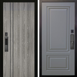 Входная дверь Аргус SMART гейджи + Элион Силк маус