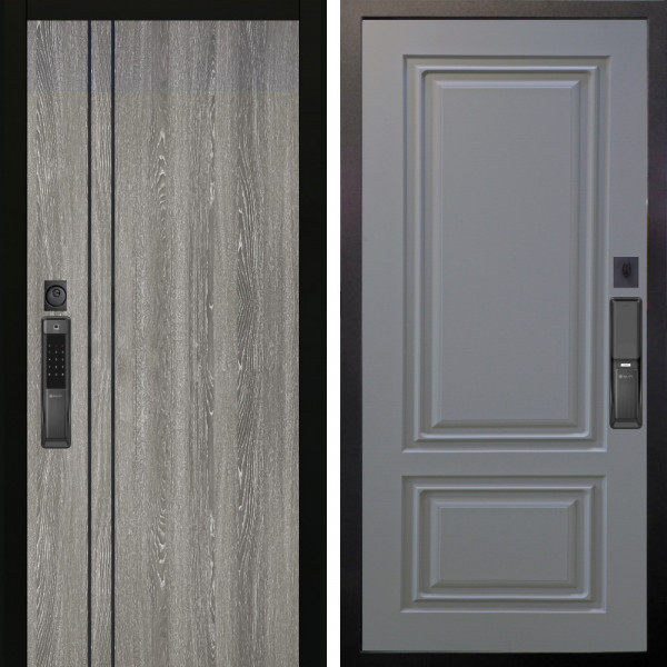Входная дверь Аргус SMART гейджи + Элион Силк маус