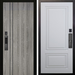 Входная дверь Аргус SMART гейджи + Элион Софт милк