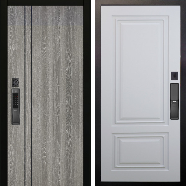 Входная дверь Аргус SMART гейджи + Элион Софт милк