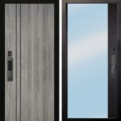 Входная дверь Аргус SMART гейджи + Магнум Черный софт