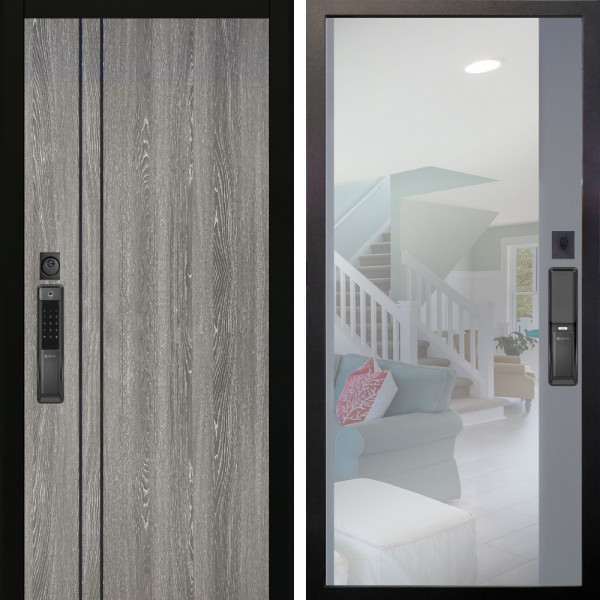 Входная дверь Аргус SMART гейджи + Магнум Силк маус