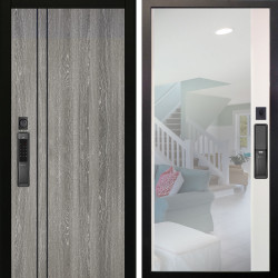 Входная дверь Аргус SMART гейджи + Магнум Софт милк