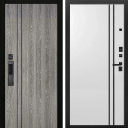 Входная дверь Аргус SMART гейджи + нора 4