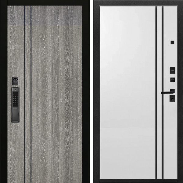 Входная дверь Аргус SMART гейджи + нора 4