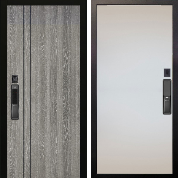 Входная дверь Аргус SMART гейджи + Под покраску