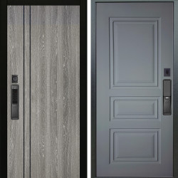 Входная дверь Аргус SMART гейджи + Скиф Силк маус