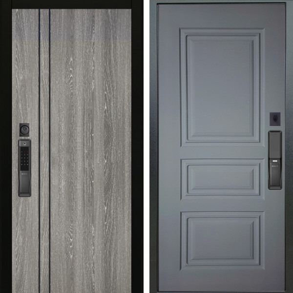 Входная дверь Аргус SMART гейджи + Скиф Силк маус