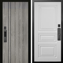 Входная дверь Аргус SMART гейджи + Скиф Софт милк