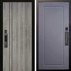 Входная дверь Аргус SMART гейджи + Тревор Силк маус