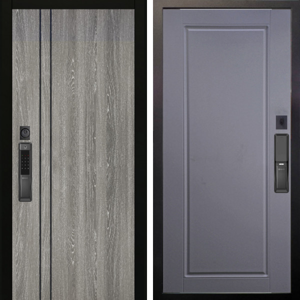 Входная дверь Аргус SMART гейджи + Тревор Силк маус