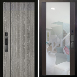 Входная дверь Аргус SMART гейджи + Вояж Венге