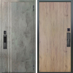 Входная дверь Аргус SMART Лофт Темный бетон + Элегант Рустик соломенный