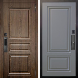 Входная дверь Аргус SMART магистр дуб кантри + Элион Силк маус