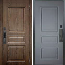 Входная дверь Аргус SMART магистр дуб кантри + Скиф Силк маус