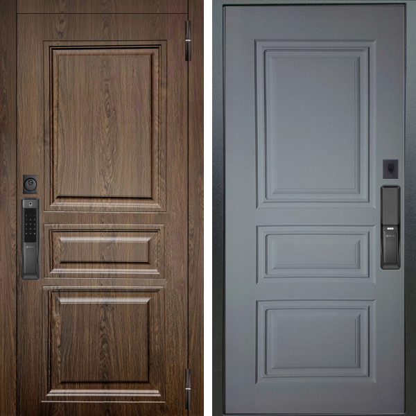 Входная дверь Аргус SMART магистр дуб кантри + Скиф Силк маус