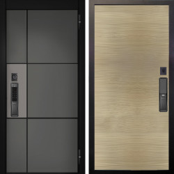 Входная дверь Аргус SMART мичиган силк титан силк муссон + Элегант Дорс светлый горизонт