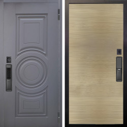Входная дверь Аргус SMART Могадиш Силк флай + Элегант Дорс светлый горизонт