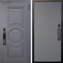 Входная дверь Аргус SMART Могадиш Силк флай + Элегант Силк маус