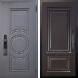 Входная дверь Аргус SMART Могадиш Силк флай + Элион Горький шоколад