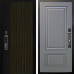 Входная дверь Аргус SMART рокси дуб рейка морение + Элион Силк маус