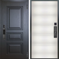 Входная дверь Аргус SMART Скиф Горький шоколад + Агат Вельвет белый горизон