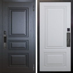 Входная дверь Аргус SMART Скиф Горький шоколад + Элион Софт милк