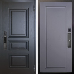 Входная дверь Аргус SMART Скиф Горький шоколад + Тревор Силк маус