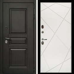 Входная дверь Стандарт 10 + Лучи белый