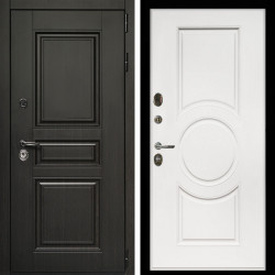 Входная дверь Стандарт 10 + МС-100 белый матовый