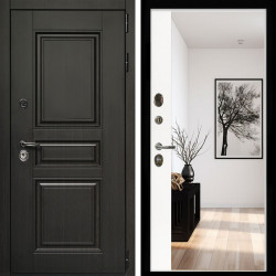 Входная дверь Стандарт 10 + Зеркало панорама Белый софт