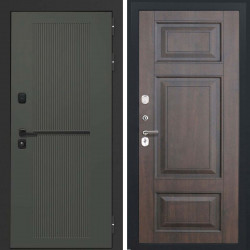 Входная дверь L-Terio-2 ФЛ-659 Винорит