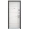 Дверь Torex DELTA-100 Черный шелк DL-1, Белый D23
